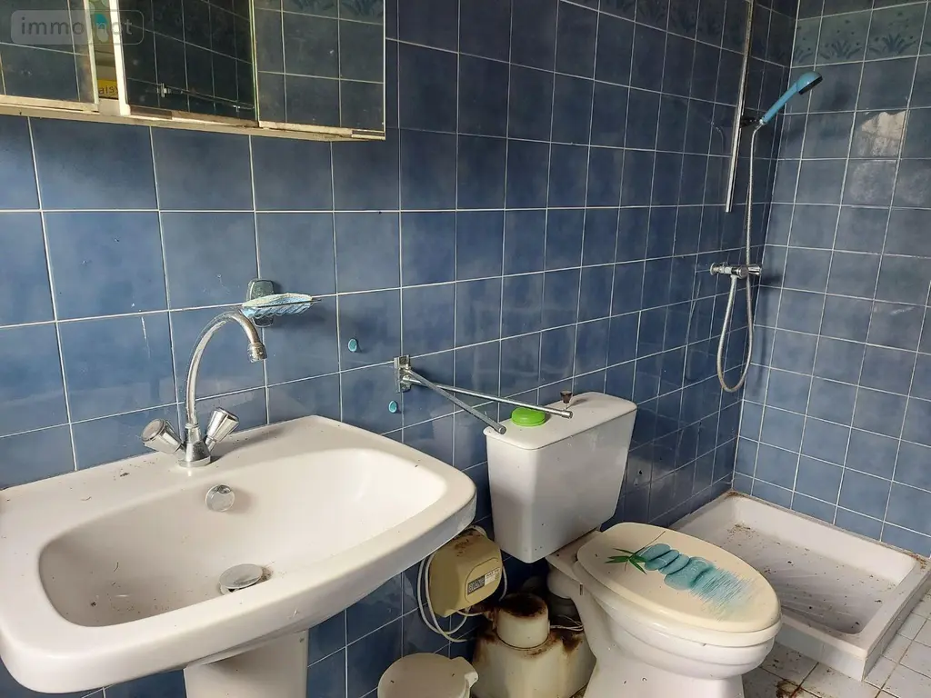 Maison a vendre Dingé 35440 Ille-et-Vilaine 35 42 m2 3 pièces 139100 euros 091-811 010