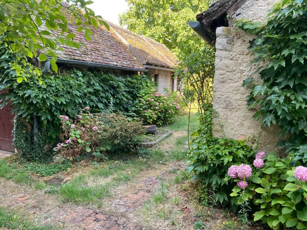 Maison a vendre Mézières-en-Brenne 36290 Indre 36 204 m2 10 pièces 144300 euros 1051118 019