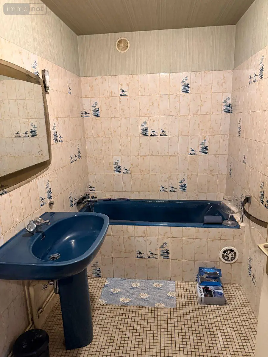 Immeuble de rapport a vendre Mauriac 15200 Cantal 15 153700 euros 15060/1238 013