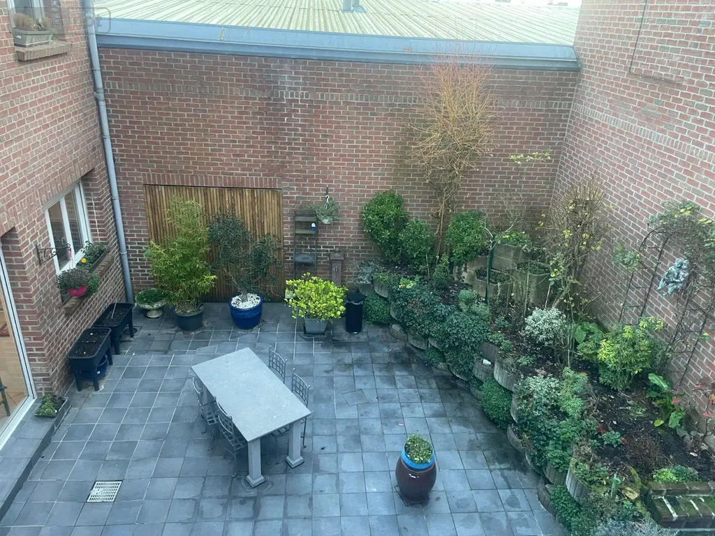 Maison a vendre Bailleul 59270 Nord 59 335 m2 6 pièces 578000 euros F30422 006