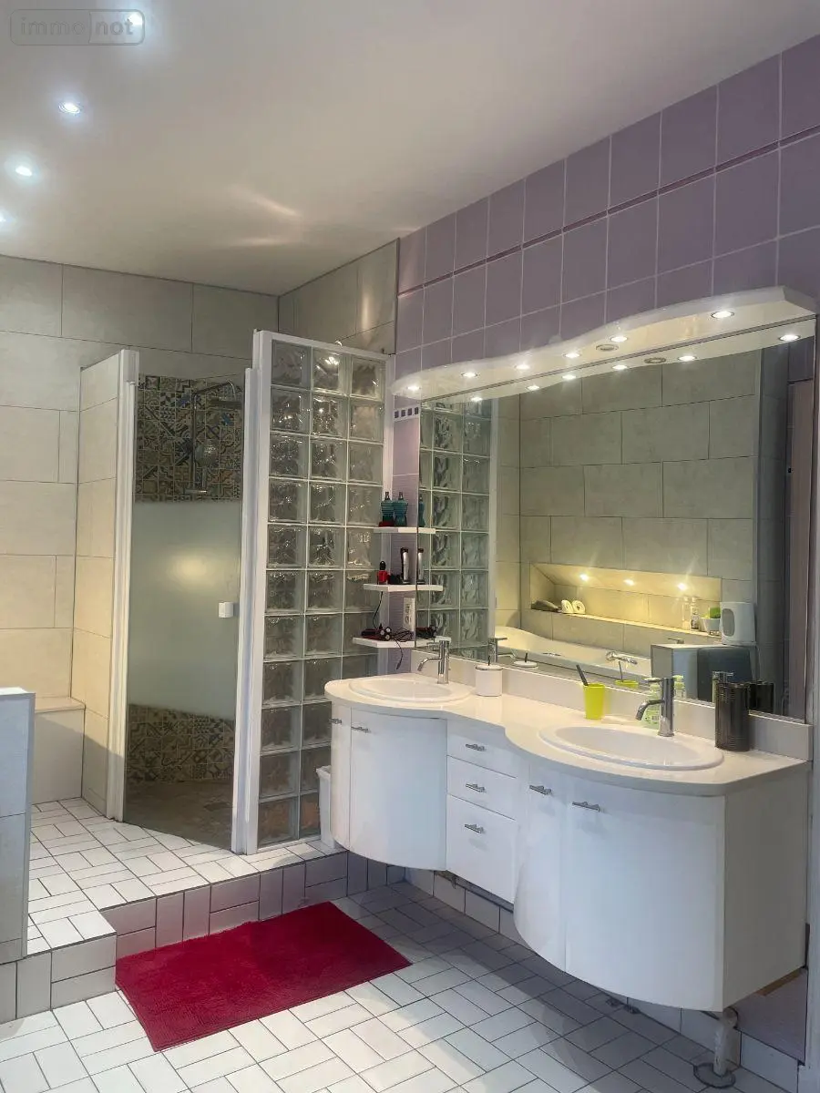 Maison a vendre Bailleul 59270 Nord 59 335 m2 6 pièces 578000 euros F30422 011