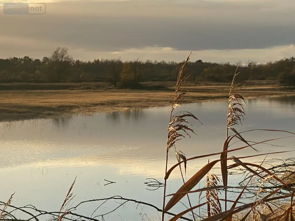 Terrains de loisirs bois etangs a vendre Lingé 36220 Indre 36 276800 euros 1049787 004