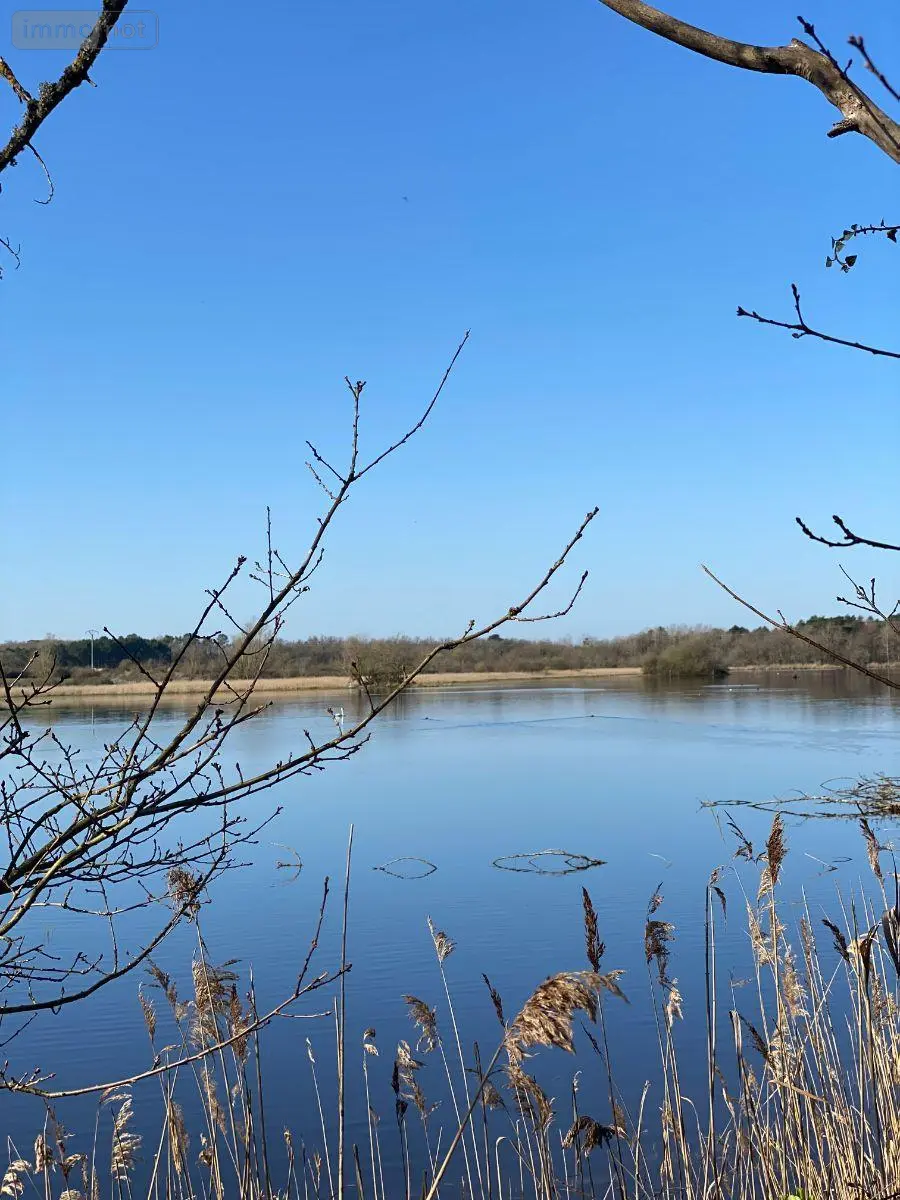 Terrains de loisirs bois etangs a vendre Lingé 36220 Indre 36 276800 euros 1049787 008