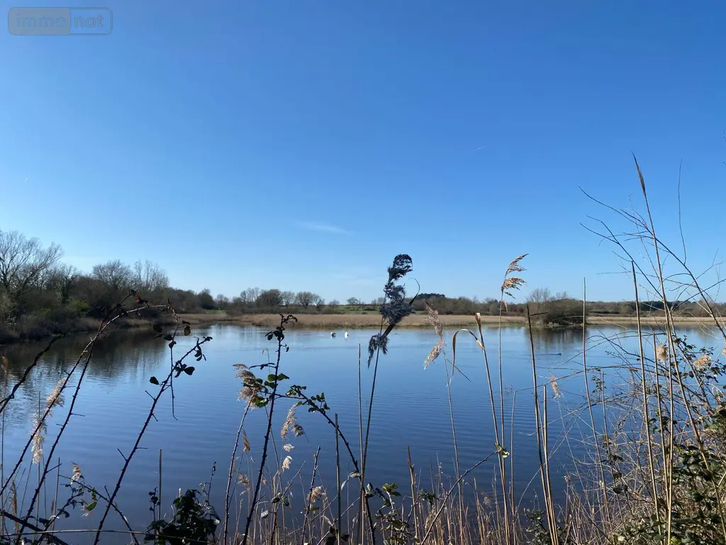 Terrains de loisirs bois etangs a vendre Lingé 36220 Indre 36 276800 euros 1049787 002