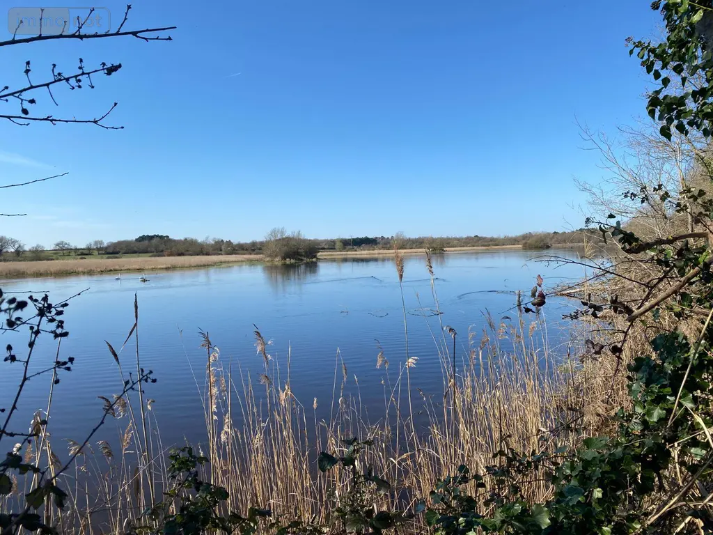 Terrains de loisirs bois etangs a vendre Lingé 36220 Indre 36 276800 euros 1049787 003