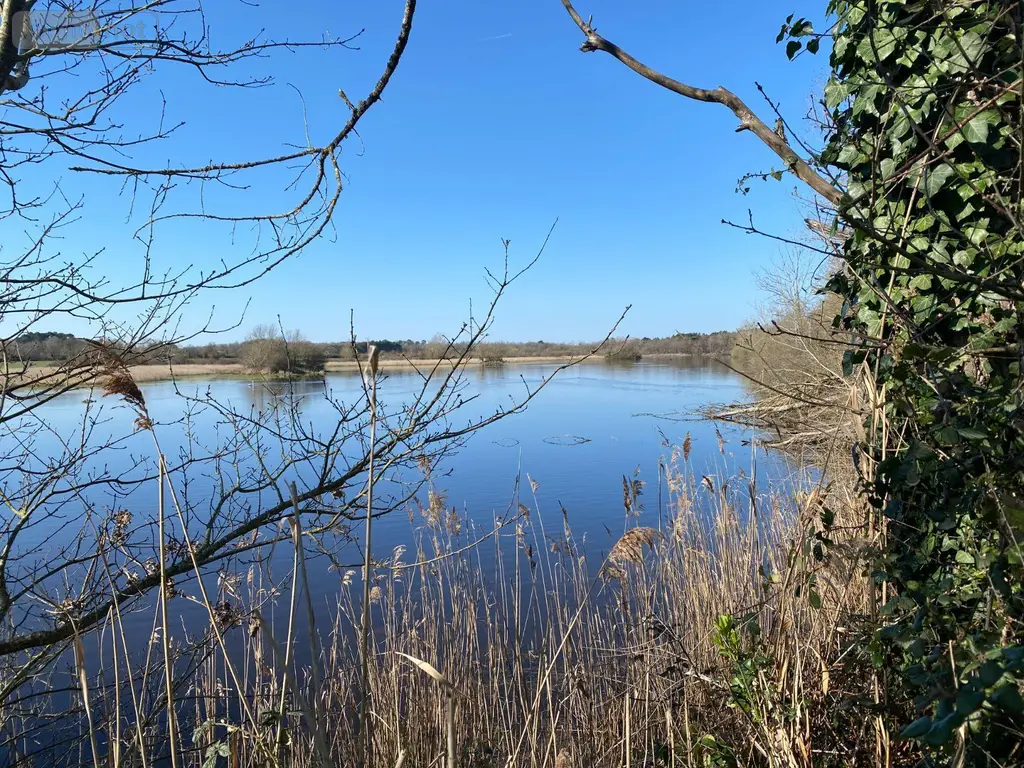 Terrains de loisirs bois etangs a vendre Lingé 36220 Indre 36 276800 euros 1049787 006