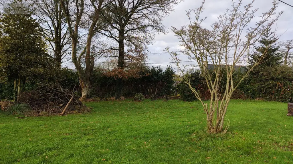 Terrain a batir a vendre Saint-Barthélemy 56150 Morbihan 56 968 m2 70810 euros 065/1859 004