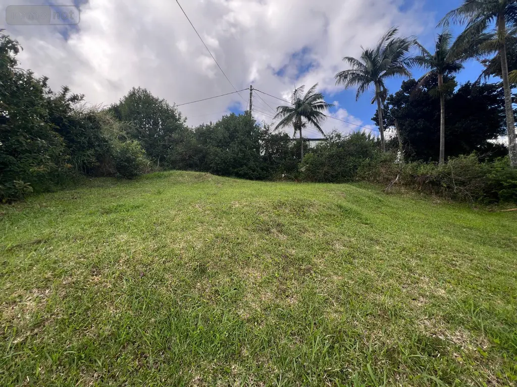 Terrain a batir a vendre Sainte-Marie 97438 La Réunion 974 127600 euros 97405/236 001