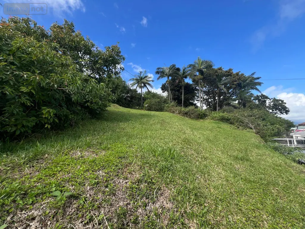 Terrain a batir a vendre Sainte-Marie 97438 La Réunion 974 127600 euros 97405/236 006