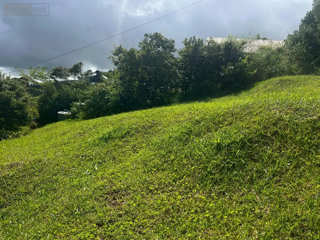 Terrain a batir a vendre Sainte-Marie 97438 La Réunion 974 127600 euros 97405/236 007