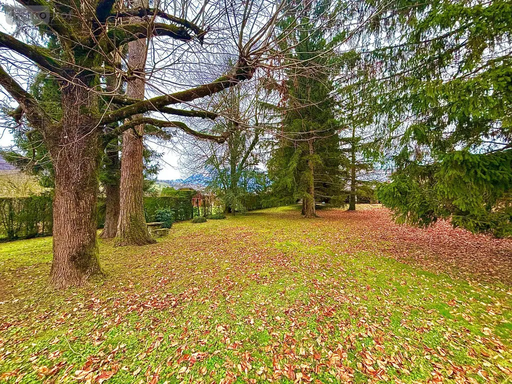 Propriete a vendre Villard-Léger 73390 Savoie 73 390 m2 9 pièces 1195000 euros 73007-193 010