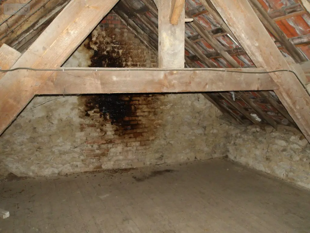 Maison a vendre Boussac-Bourg 23600 Creuse 23 57 m2 1 pièce 23848 euros 113422 018