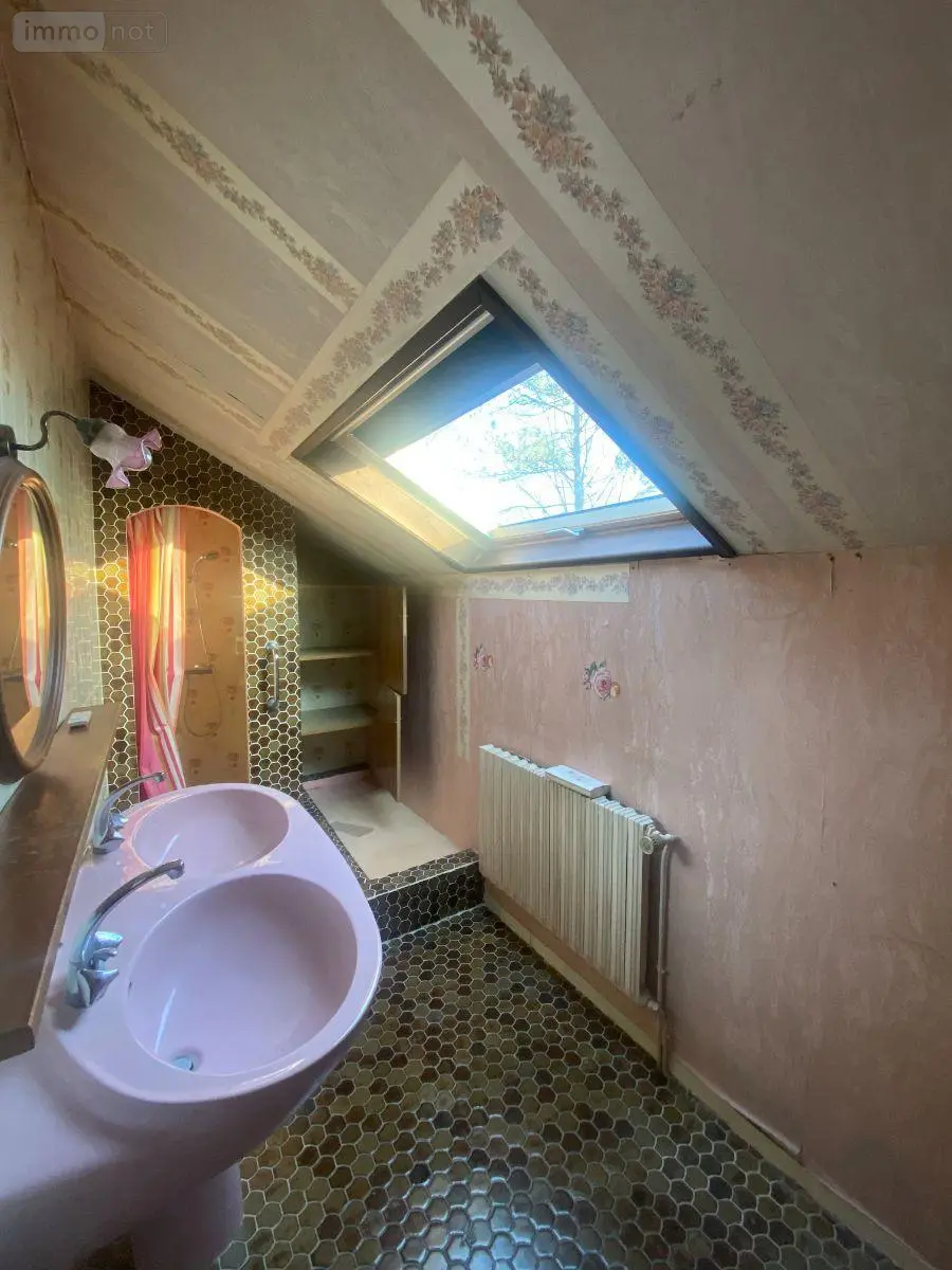 Maison a vendre Vesoul 70000 Haute-Saône 70 197 m2 7 pièces 220000 euros 70003-205 013