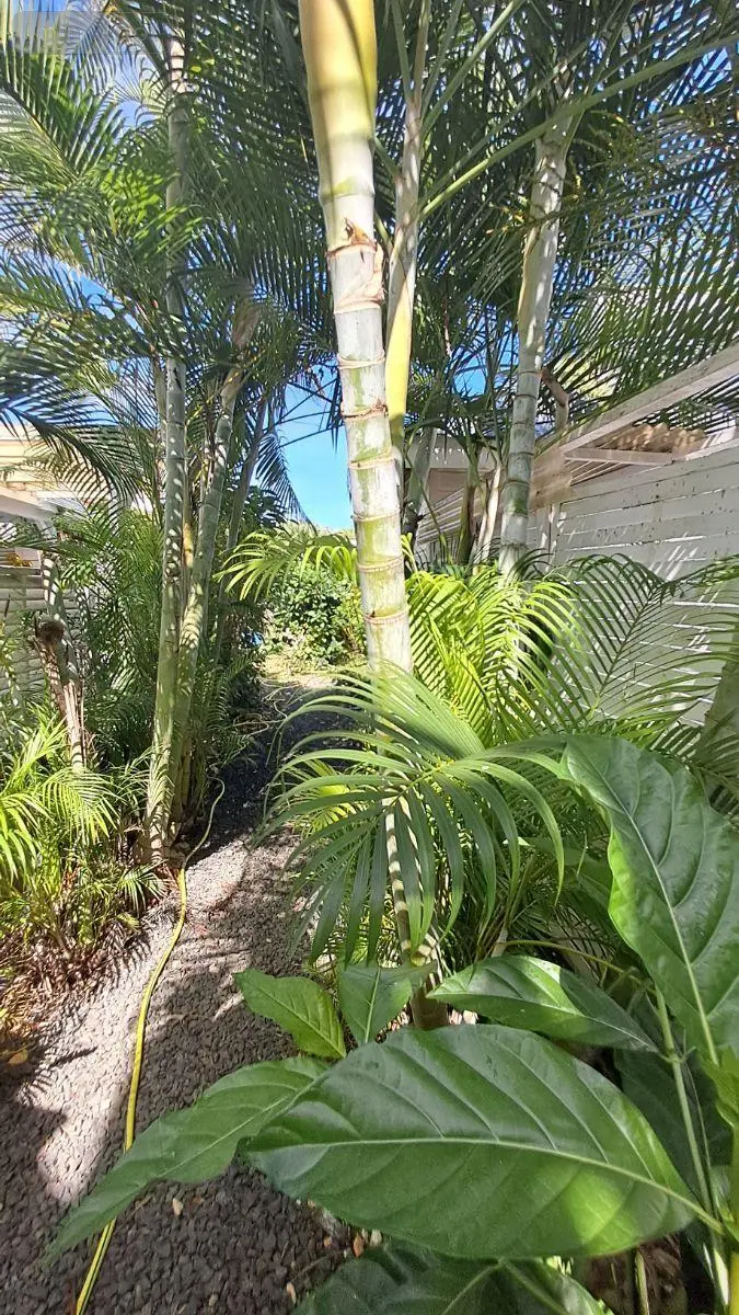 Maison a vendre Le Moule 97160 Guadeloupe 971 128 m2 7 pièces 490000 euros 15056/155 010