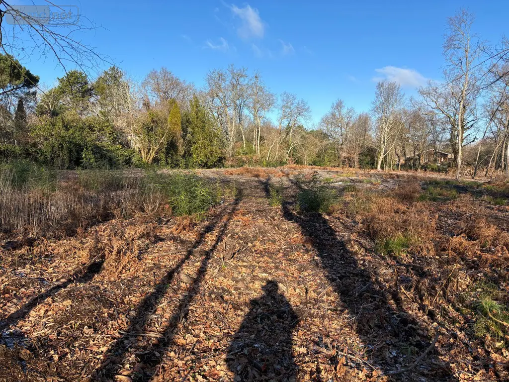 Terrain a batir a vendre Blanquefort 33290 Gironde 33 5238 m2 364250 euros 032/1671 001