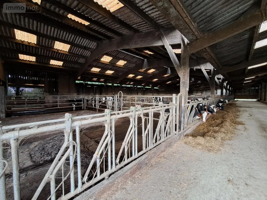 Bien agricole a vendre Le Mesnil-Opac 50860 Manche 50 524000 euros 3311 003