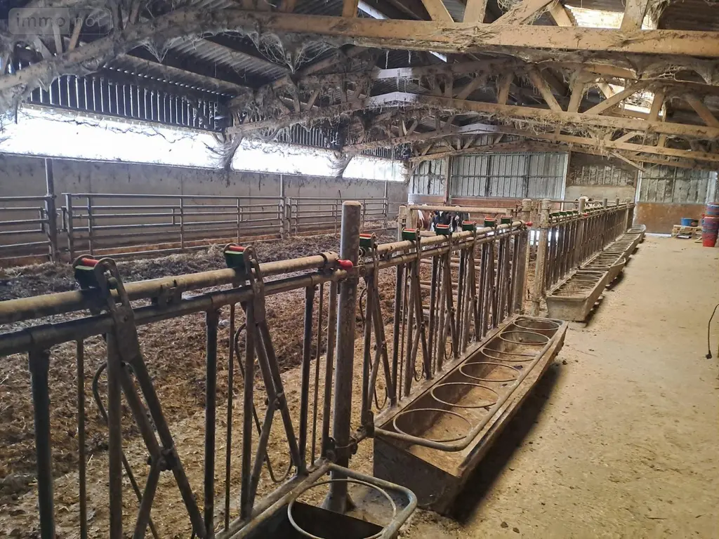 Bien agricole a vendre Le Mesnil-Opac 50860 Manche 50 524000 euros 3311 006