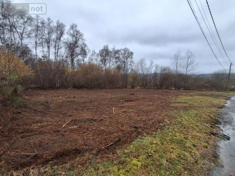 Terrain a batir a vendre Saint-Rémy 19290 Corrèze 19 1203 m2 23000 euros UT 142 003