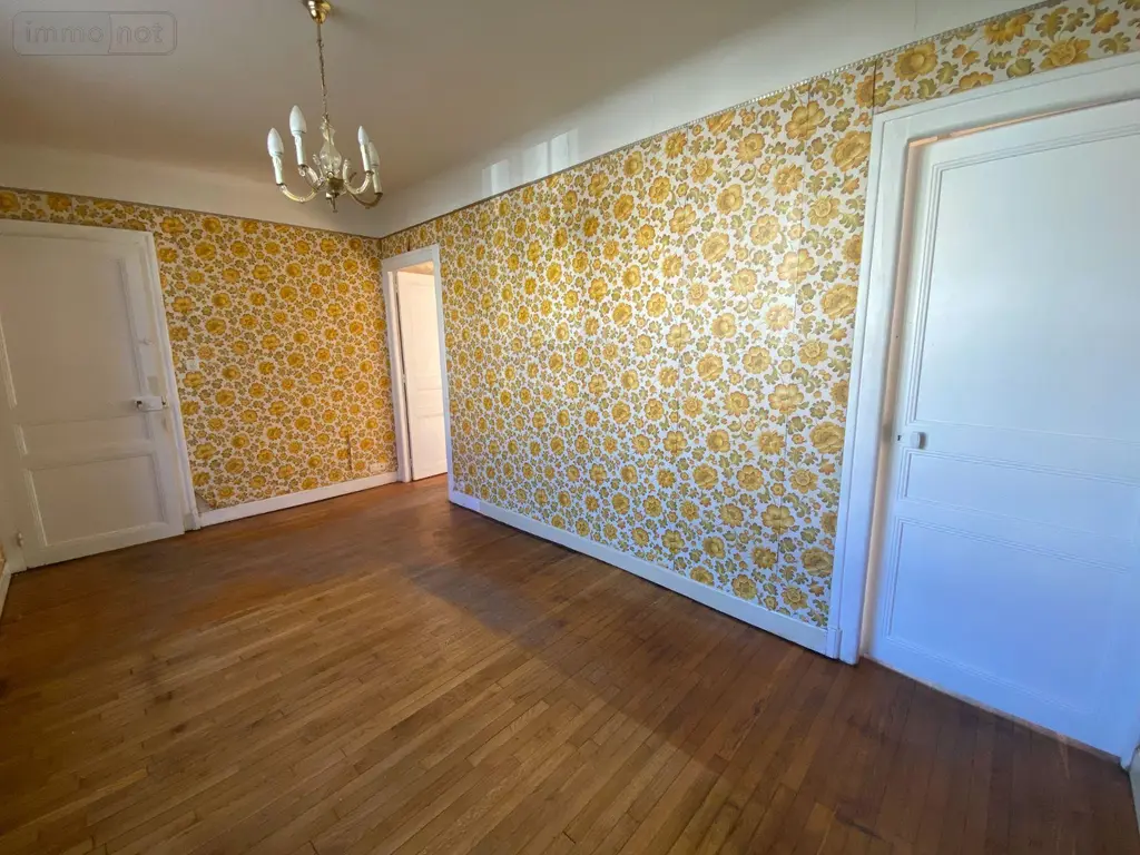 Maison a vendre Villedieu-sur-Indre 36320 Indre 36 74 m2 4 pièces 54200 euros 1051879 003