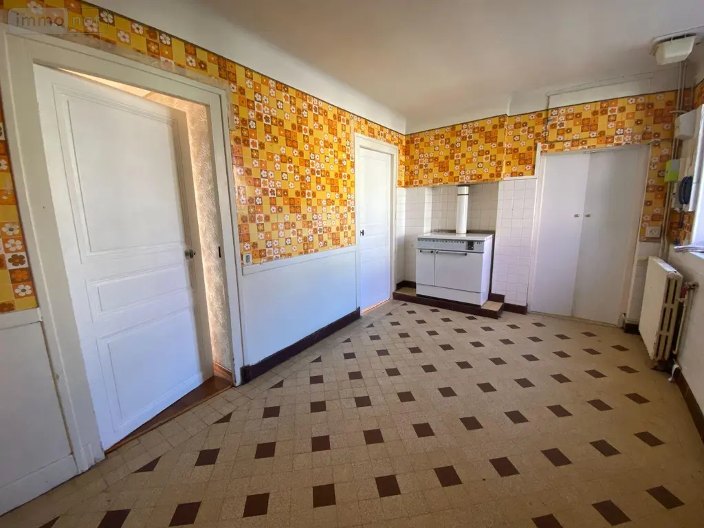 Maison a vendre Villedieu-sur-Indre 36320 Indre 36 74 m2 4 pièces 54200 euros 1051879 007