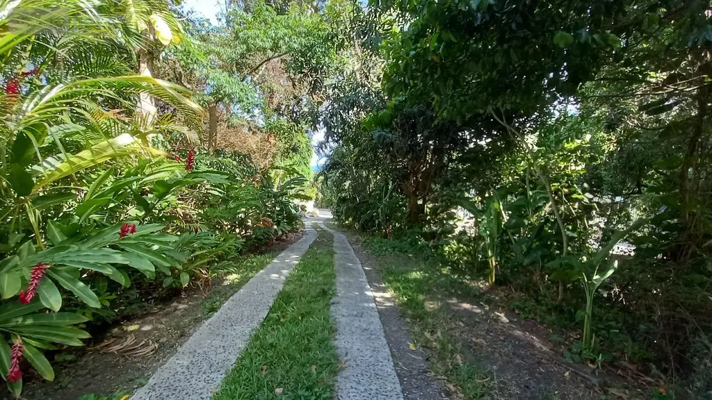 Propriete a vendre Deshaies 97126 Guadeloupe 971 312 m2 9 pièces 1195000 euros 15056/157 022