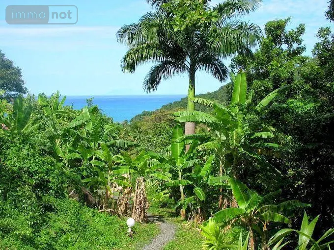 Propriete a vendre Deshaies 97126 Guadeloupe 971 312 m2 9 pièces 1195000 euros 15056/157 020