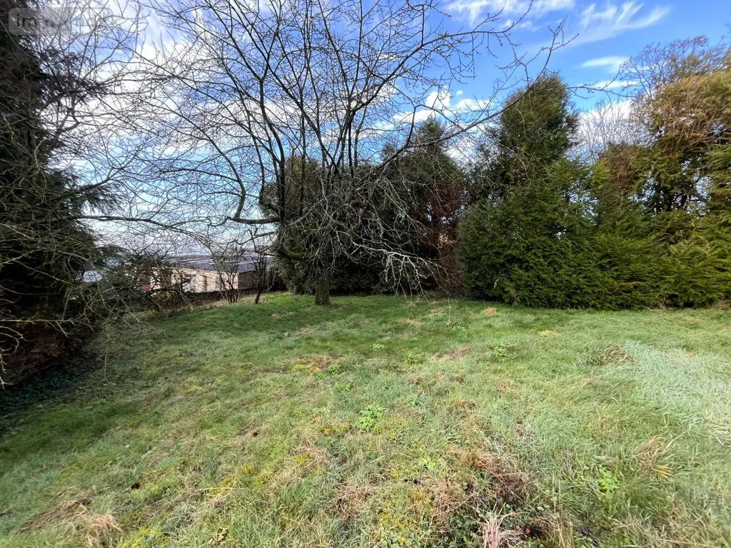 Maison a vendre Fougères 35300 Ille-et-Vilaine 35 103 m2 5 pièces 265000 euros 12541/2244 013