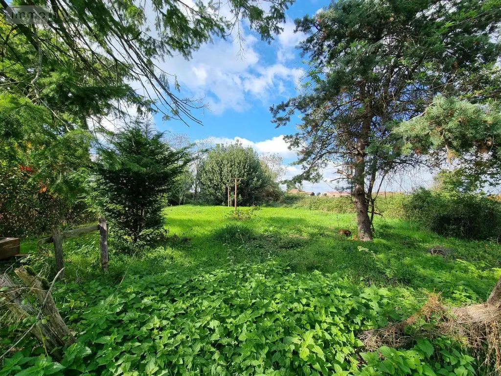 Maison a vendre Chenay-le-Châtel 71340 Saône-et-Loire 71 114 m2 4 pièces 50000 euros 20333 013