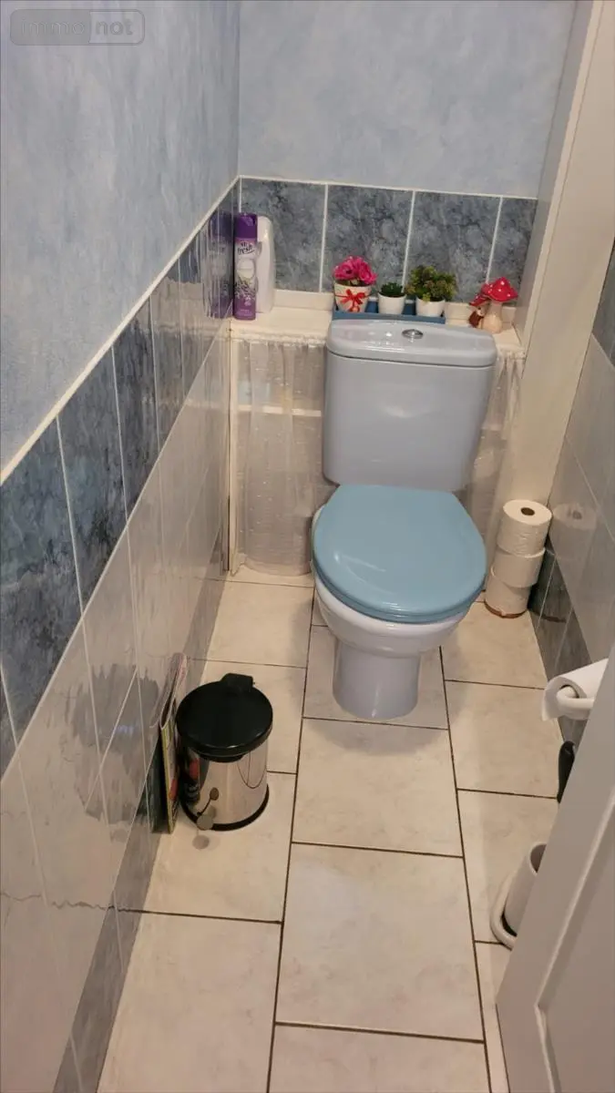 Viager maison La Londe 76500 Seine-Maritime 76 116 m2 6 pièces 95000 euros 105000/DLB17 008