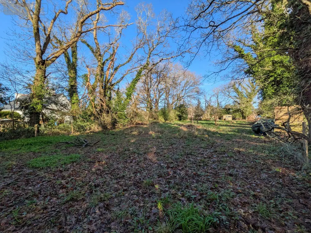Terrain a batir a vendre Riec-sur-Bélon 29340 Finistère 29 1423 m2 182350 euros 29114-117 002