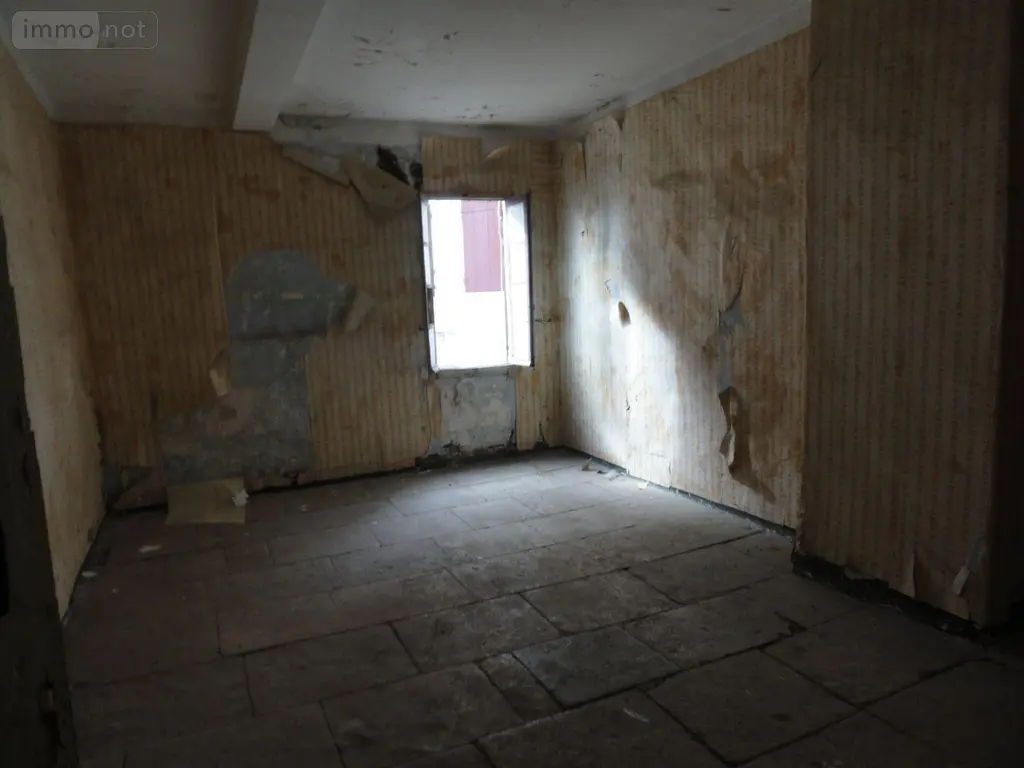 Maison a vendre Saint-Gilles 30800 Gard 30 151 m2 70000 euros 11411/442 006