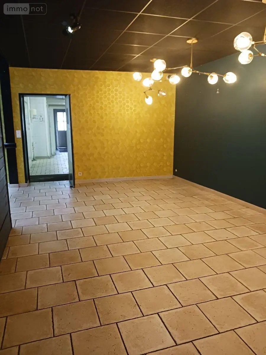 Fonds et murs commerciaux a vendre Bar-sur-Seine 10110 Aube 10 660 m2 343200 euros 10063/1273 009