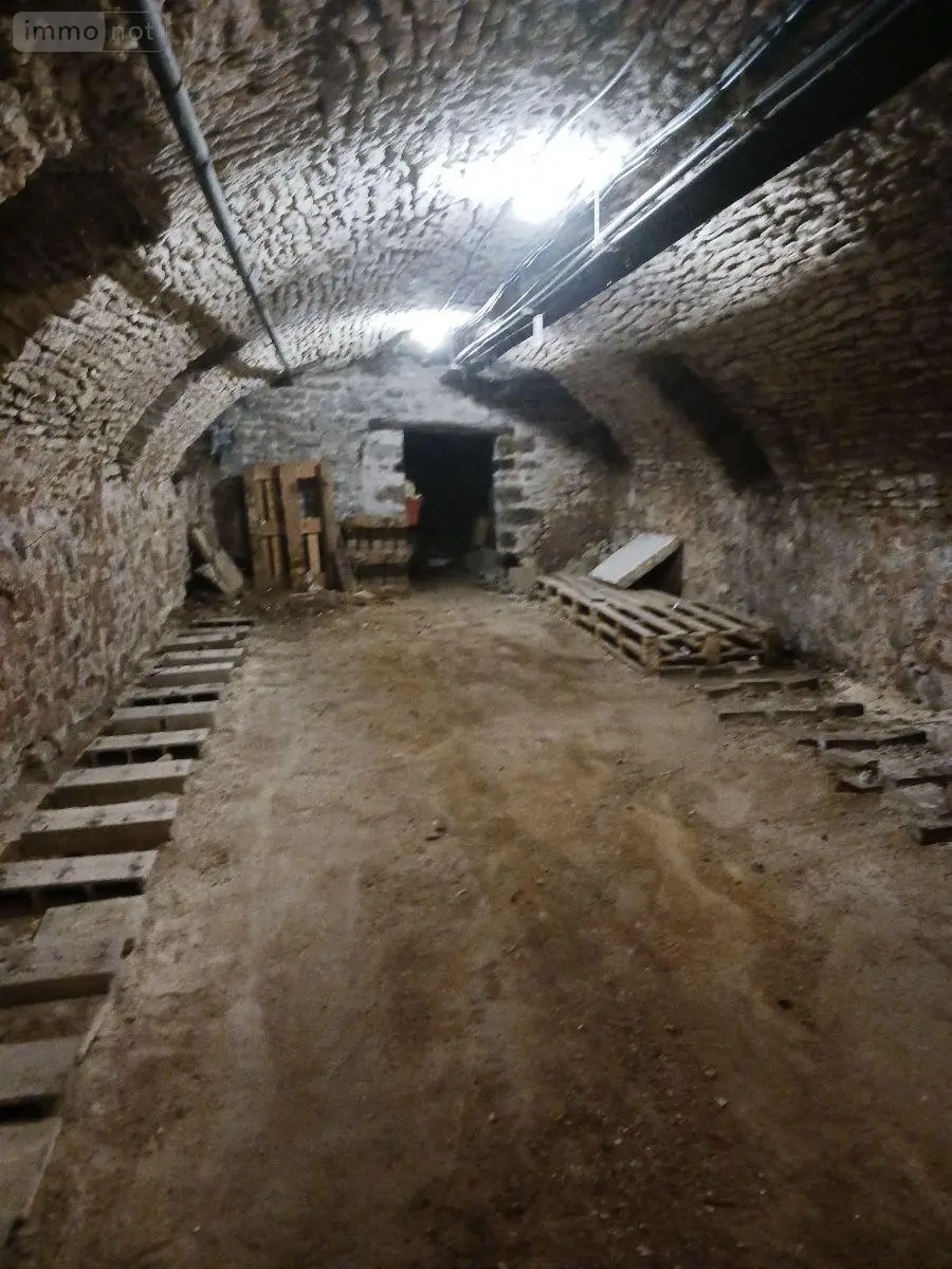 Fonds et murs commerciaux a vendre Bar-sur-Seine 10110 Aube 10 660 m2 343200 euros 10063/1273 011