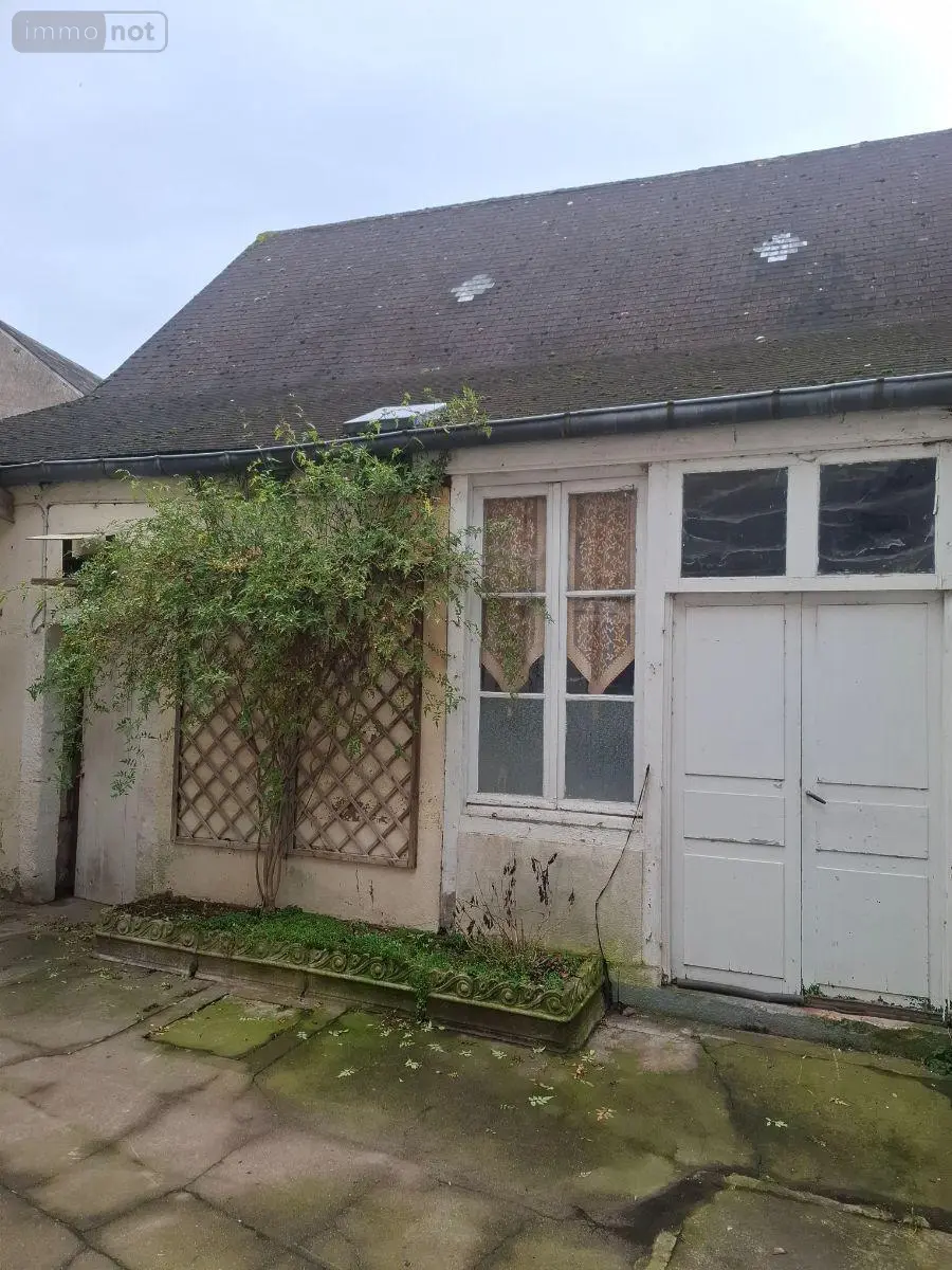 Maison a vendre Châteauneuf-sur-Cher 18190 Cher 18 137 m2 7 pièces 64500 euros 18016/2098 011