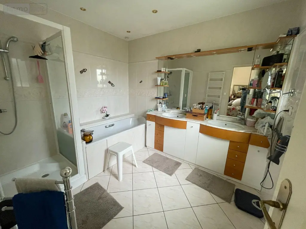 Maison a vendre Buzançais 36500 Indre 36 220 m2 6 pièces 285000 euros 1051685 009