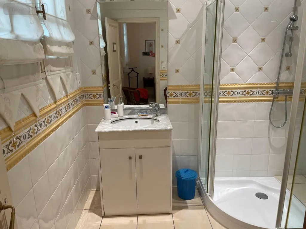Maison a vendre Buzançais 36500 Indre 36 220 m2 6 pièces 285000 euros 1051685 010