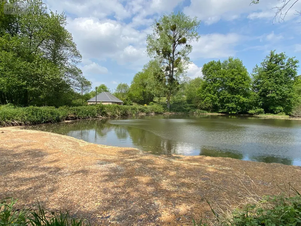 Terrains de loisirs bois etangs a vendre Les Portes du Coglais 35460 Ille-et-Vilaine 35 73360 euros 135/93 004