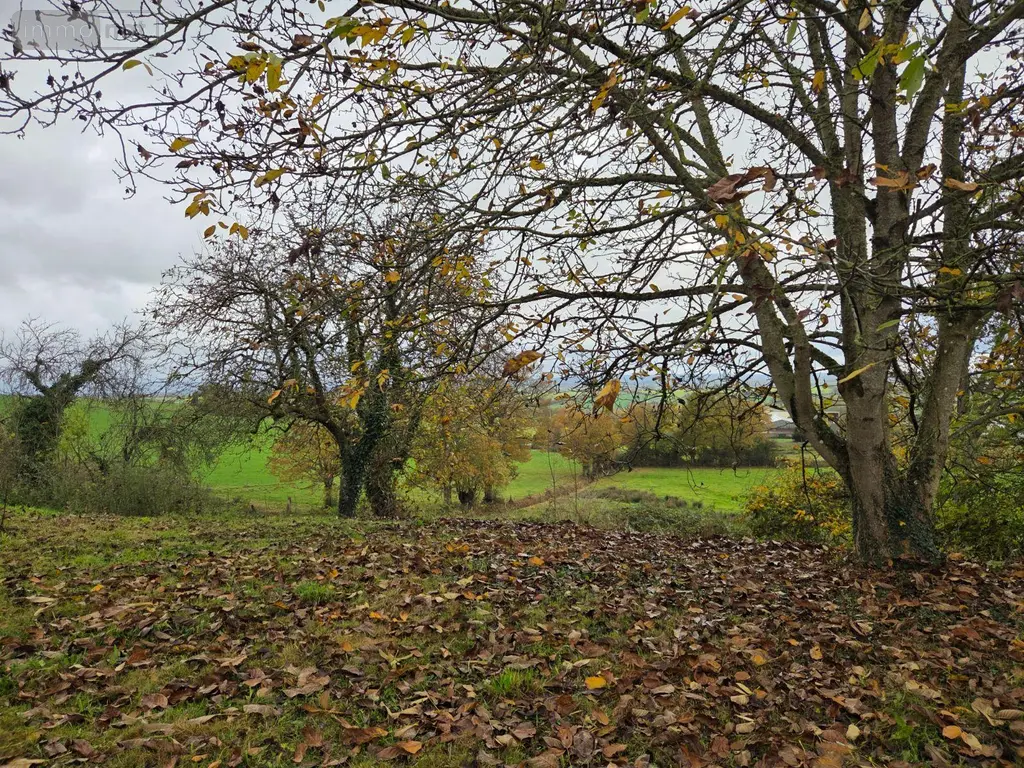 Location maison Saint-Aubin-du-Désert 53700 Mayenne 53 76 m2 6 pièces 490 euros 1384 015