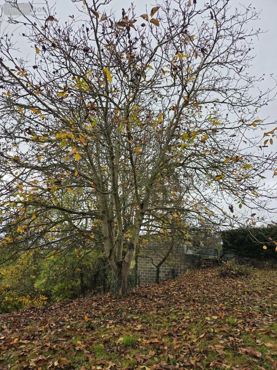 Location maison Saint-Aubin-du-Désert 53700 Mayenne 53 76 m2 6 pièces 490 euros 1384 028