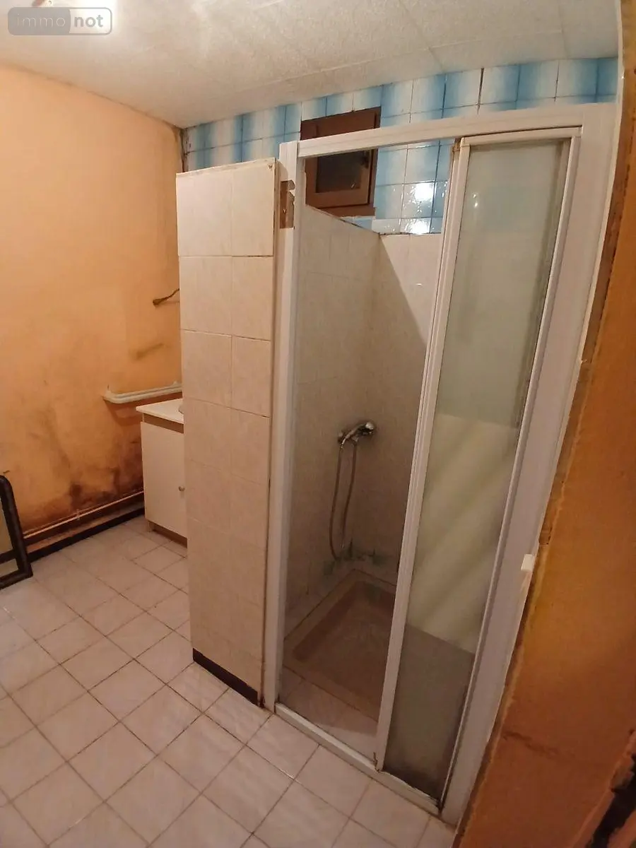 Maison a vendre Buzançais 36500 Indre 36 105 m2 4 pièces 80000 euros MAIS/836 004