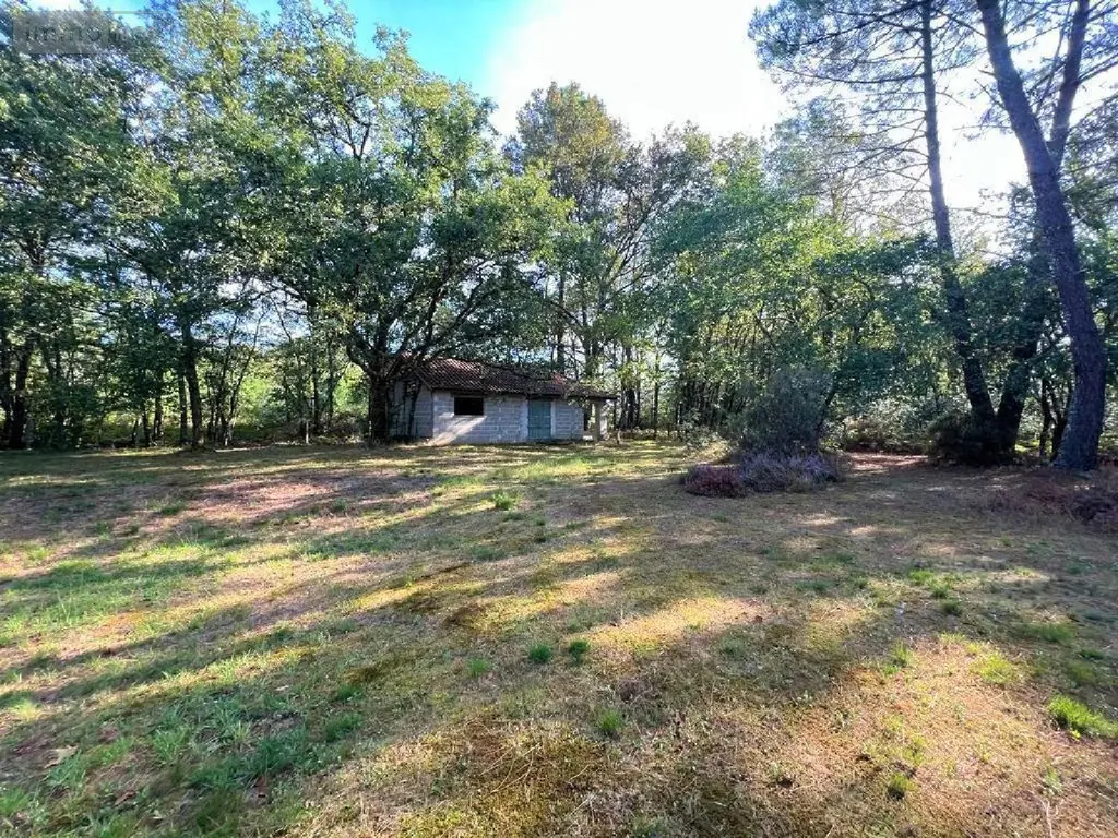 Maison a vendre Sabres 40630 Landes 40 152 m2 4 pièces 339200 euros 1004600 015