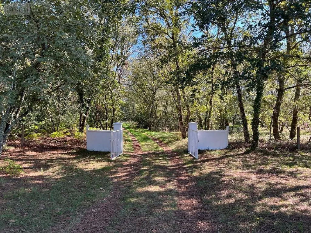 Maison a vendre Sabres 40630 Landes 40 152 m2 4 pièces 339200 euros 1004600 003