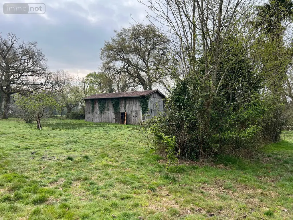 Maison a vendre Losse 40240 Landes 40 80 m2 4 pièces 85000 euros 40009-1067487 006