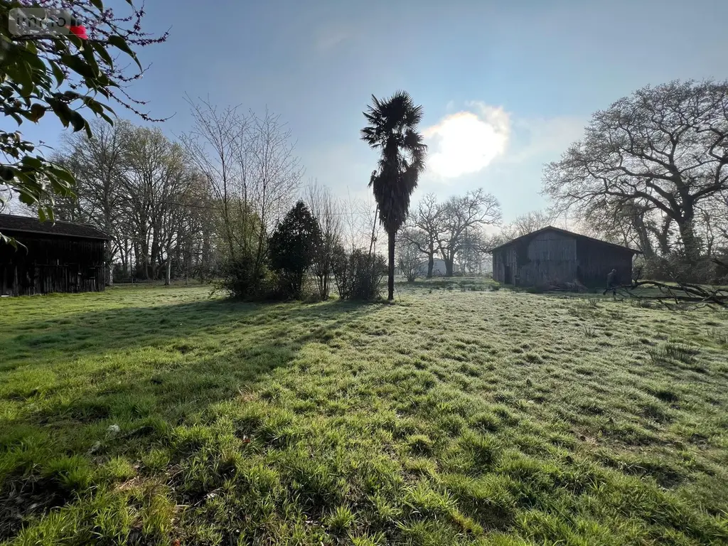 Maison a vendre Losse 40240 Landes 40 80 m2 4 pièces 85000 euros 40009-1067487 017