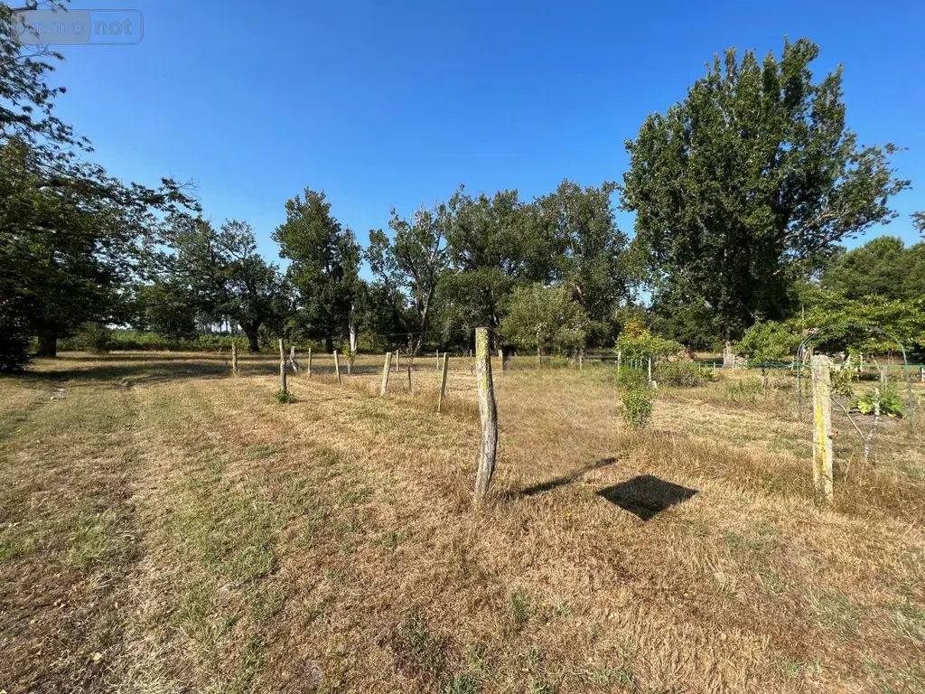 Maison a vendre Onesse-Laharie 40110 Landes 40 99 m2 4 pièces 349000 euros 1003741 008