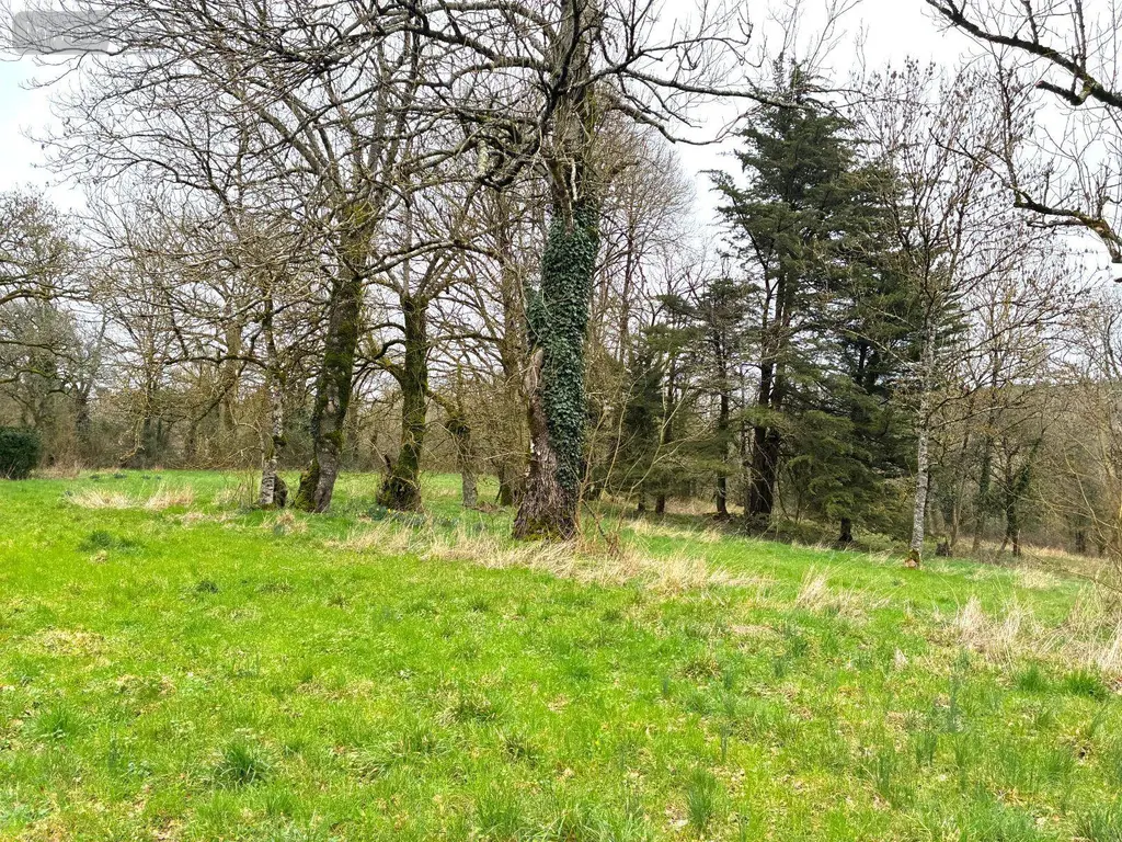 Maison a vendre Baulon 35580 Ille-et-Vilaine 35 145 m2 3 pièces 217980 euros JS/453 006