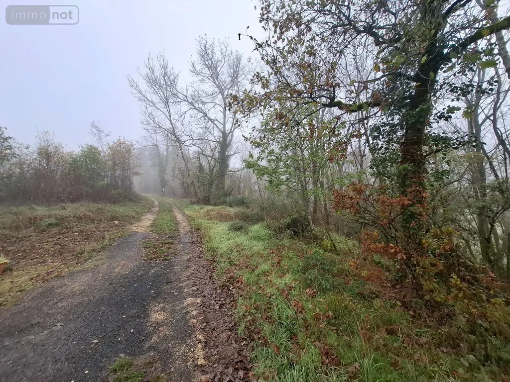 Terrains de loisirs bois etangs a vendre Saint-Léon-sur-Vézère 24290 Dordogne 24 28500 euros 18113/163 001