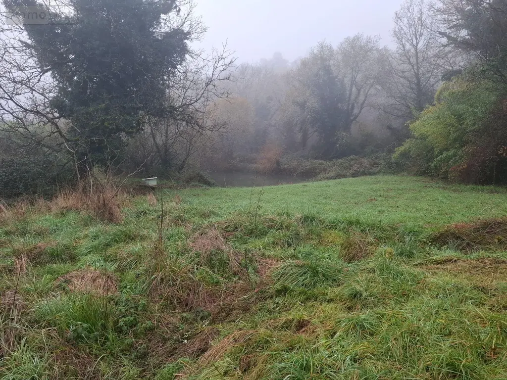 Terrains de loisirs bois etangs a vendre Saint-Léon-sur-Vézère 24290 Dordogne 24 28500 euros 18113/163 003