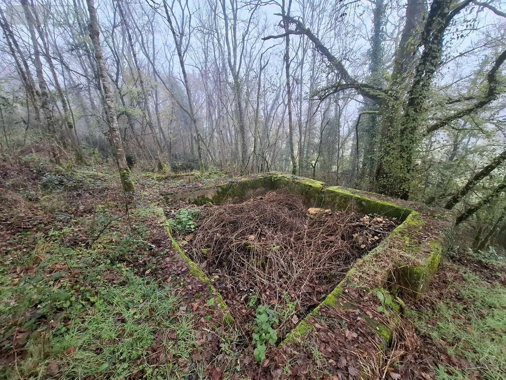 Terrains de loisirs bois etangs a vendre Saint-Léon-sur-Vézère 24290 Dordogne 24 28500 euros 18113/163 002
