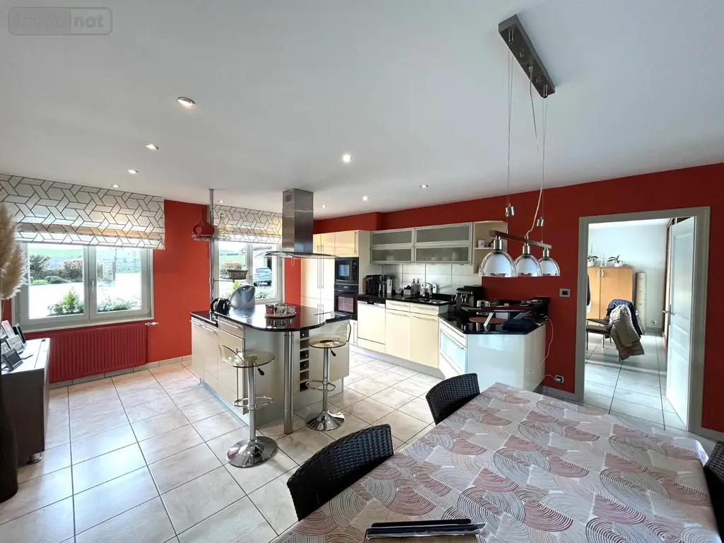 Maison a vendre Steene 59380 Nord 59 317 m2 8 pièces 630000 euros H02206 006